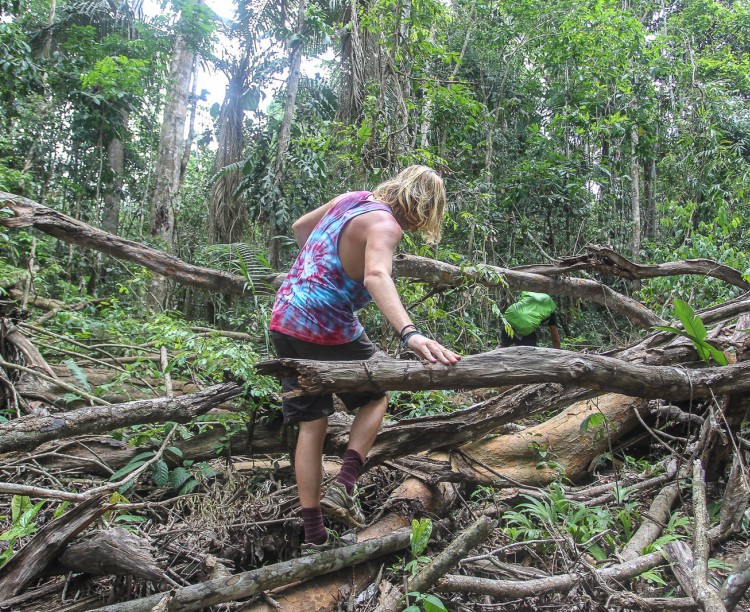 Trilha Chico Mendes: o turismo de base comunitário fortalecendo a economia  do Acre - Acre Agora 